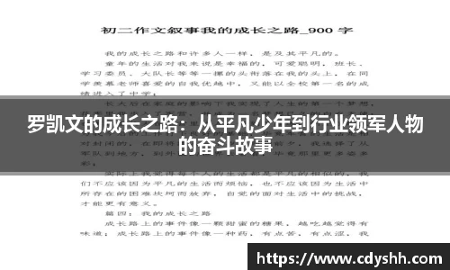 Bsports必一体育